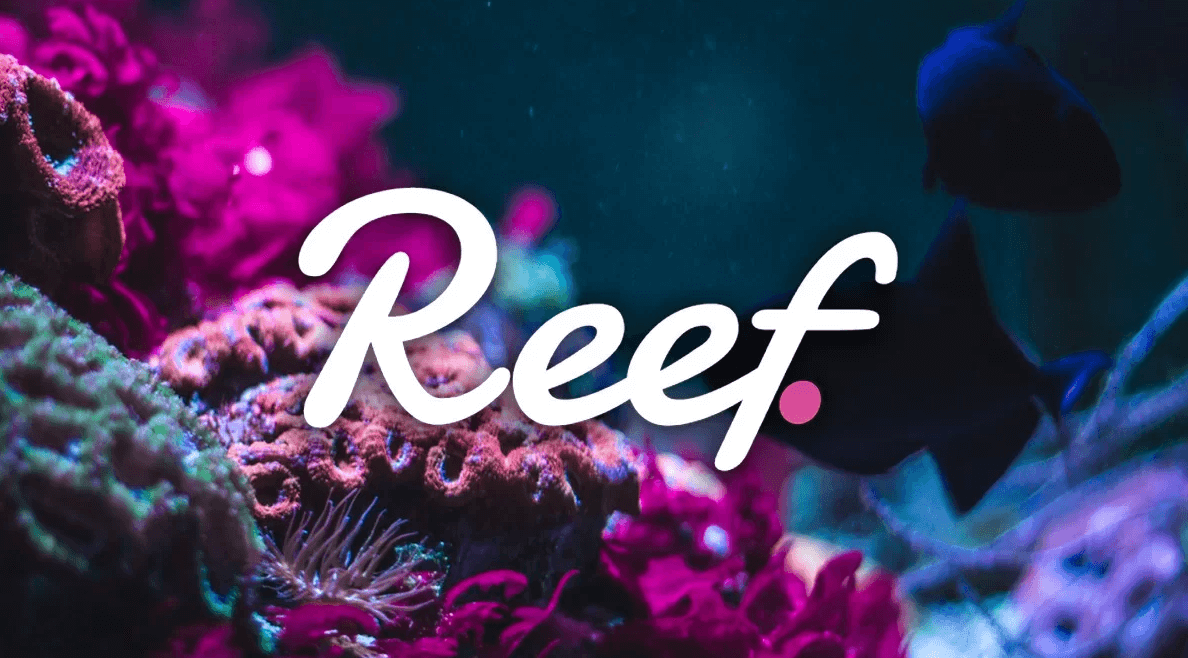 Reef Coin Yorum UniBilgi niversite Bilgi Platformu